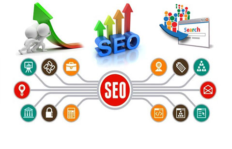 Seo Services Company in India